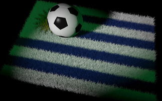 巴西足球队备战世界杯，状态火热，巴西足球 世界杯